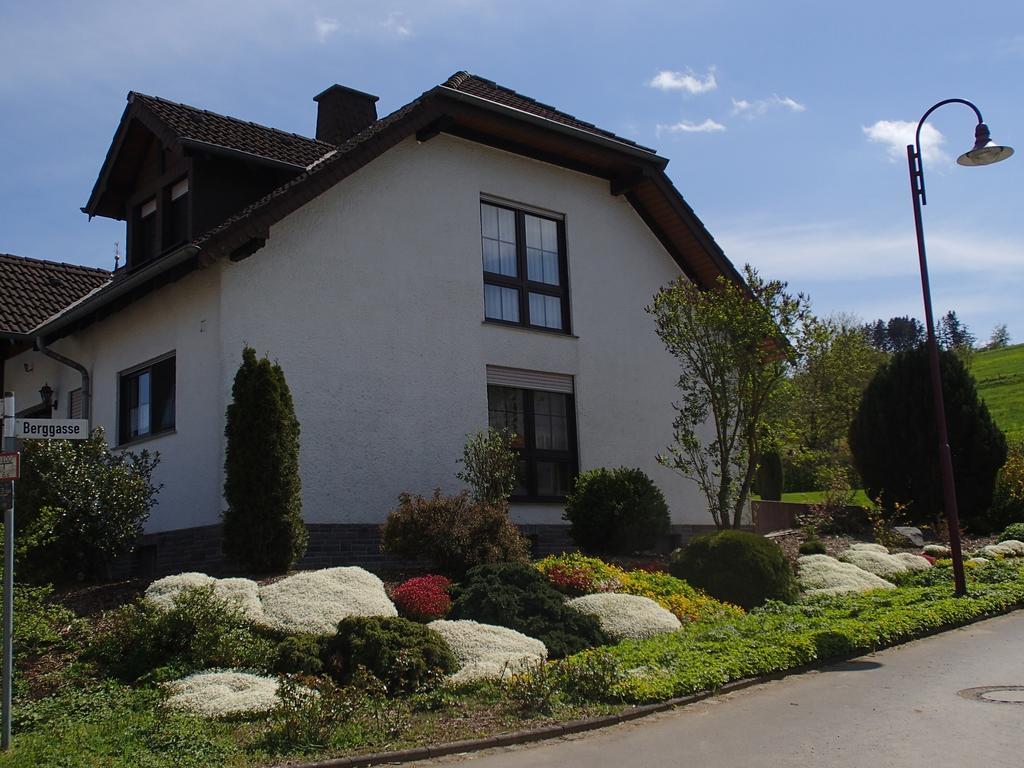 Ferienwohnung Meisenthal Naehe Nuerburgring 克尔贝格 客房 照片