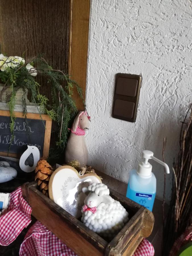 Ferienwohnung Meisenthal Naehe Nuerburgring 克尔贝格 外观 照片